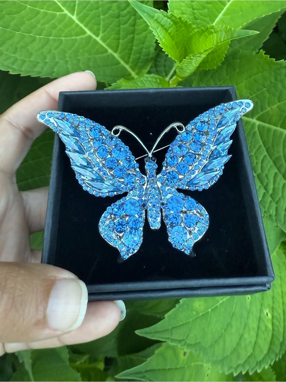 Blue butterfly brooch